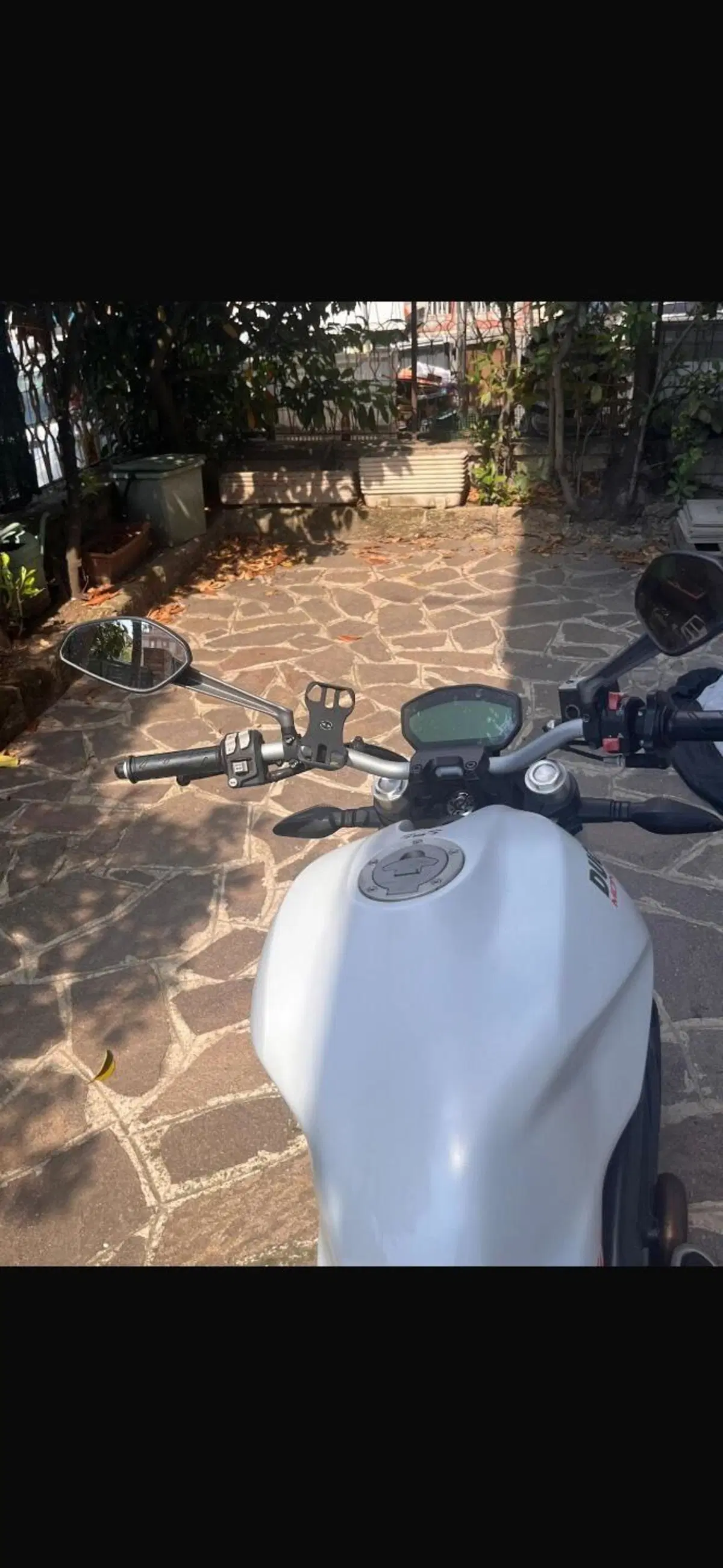 Ducati Monster 797 (2019 - 20) (4)
