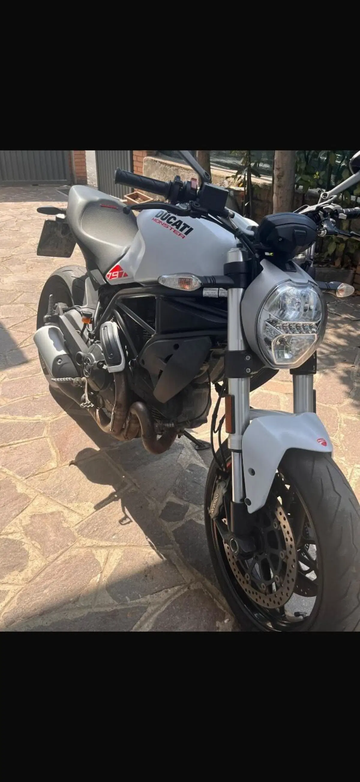 Ducati Monster 797 (2019 - 20) (6)