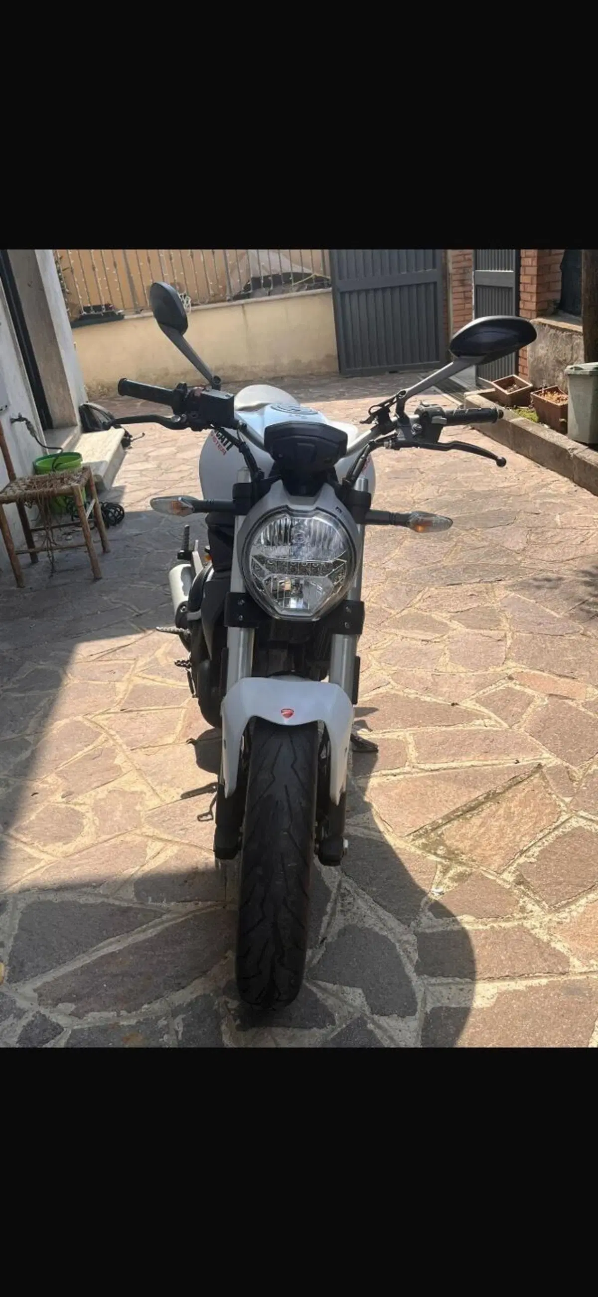 Ducati Monster 797 (2019 - 20) (7)