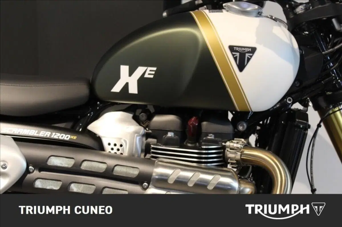 Triumph Scrambler 1200 XE (2026) (6)