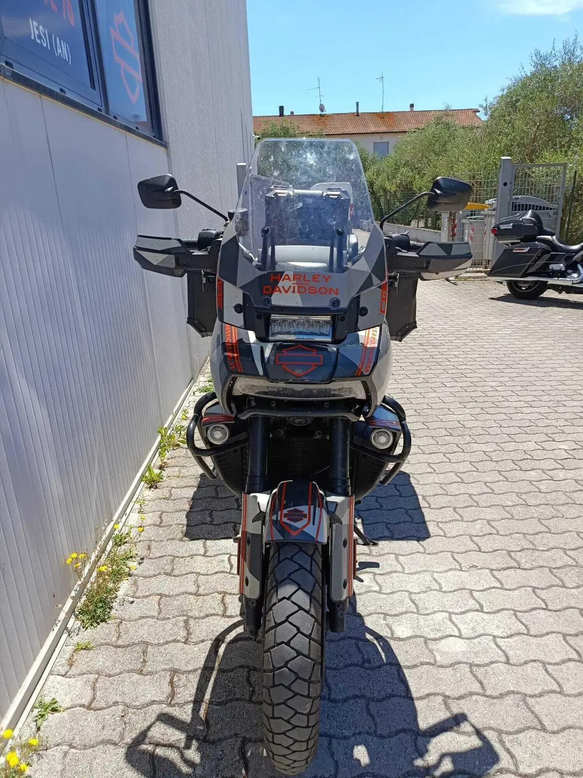 Harley-Davidson Pan America 1250 Special (2020 - 25) (6)