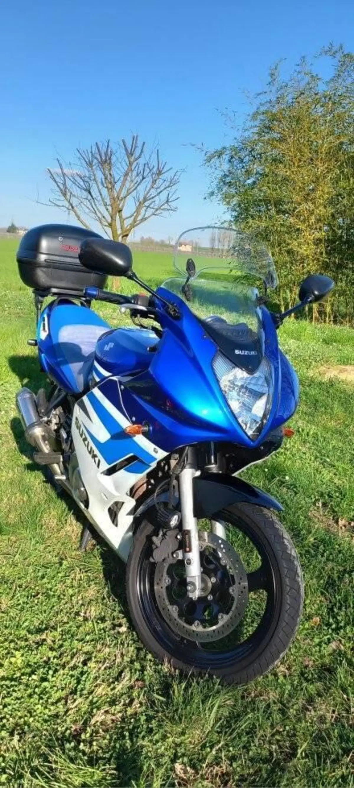 Suzuki GS 500 F (2004 - 06)