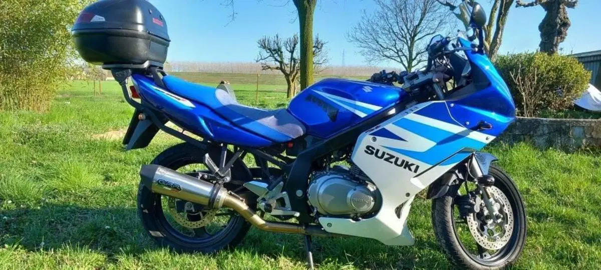 Suzuki GS 500 F (2004 - 06) (2)