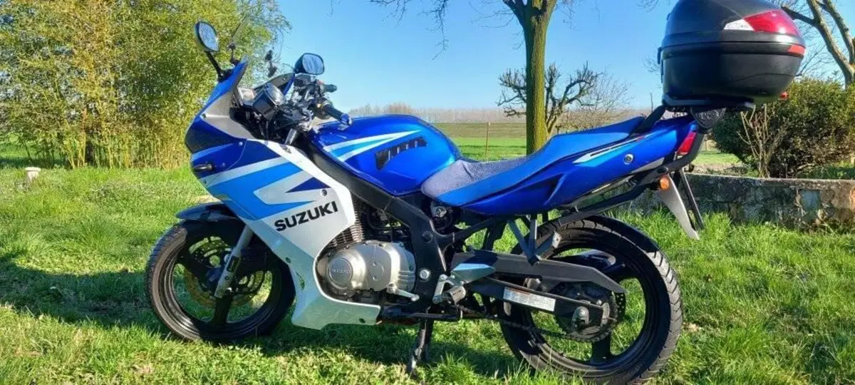Suzuki GS 500 F (2004 - 06) (3)