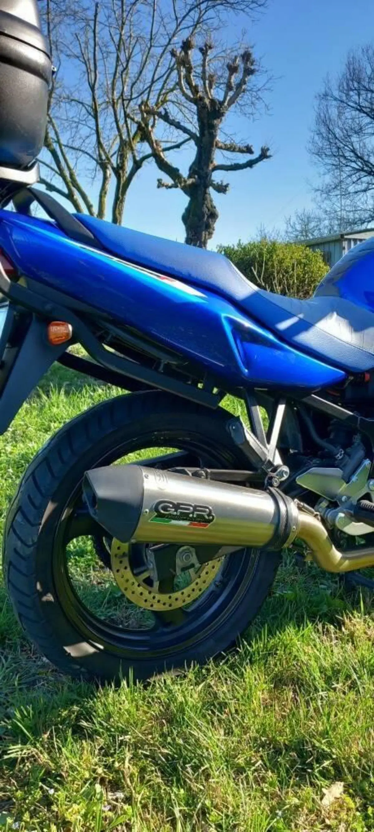 Suzuki GS 500 F (2004 - 06) (4)