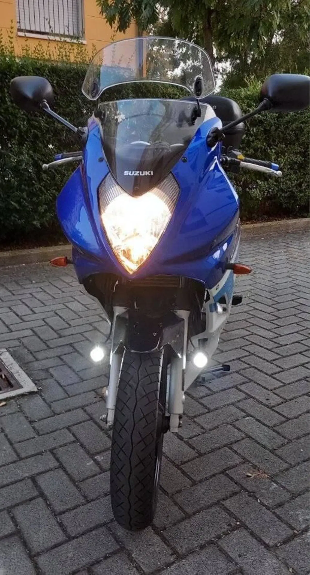Suzuki GS 500 F (2004 - 06) (6)