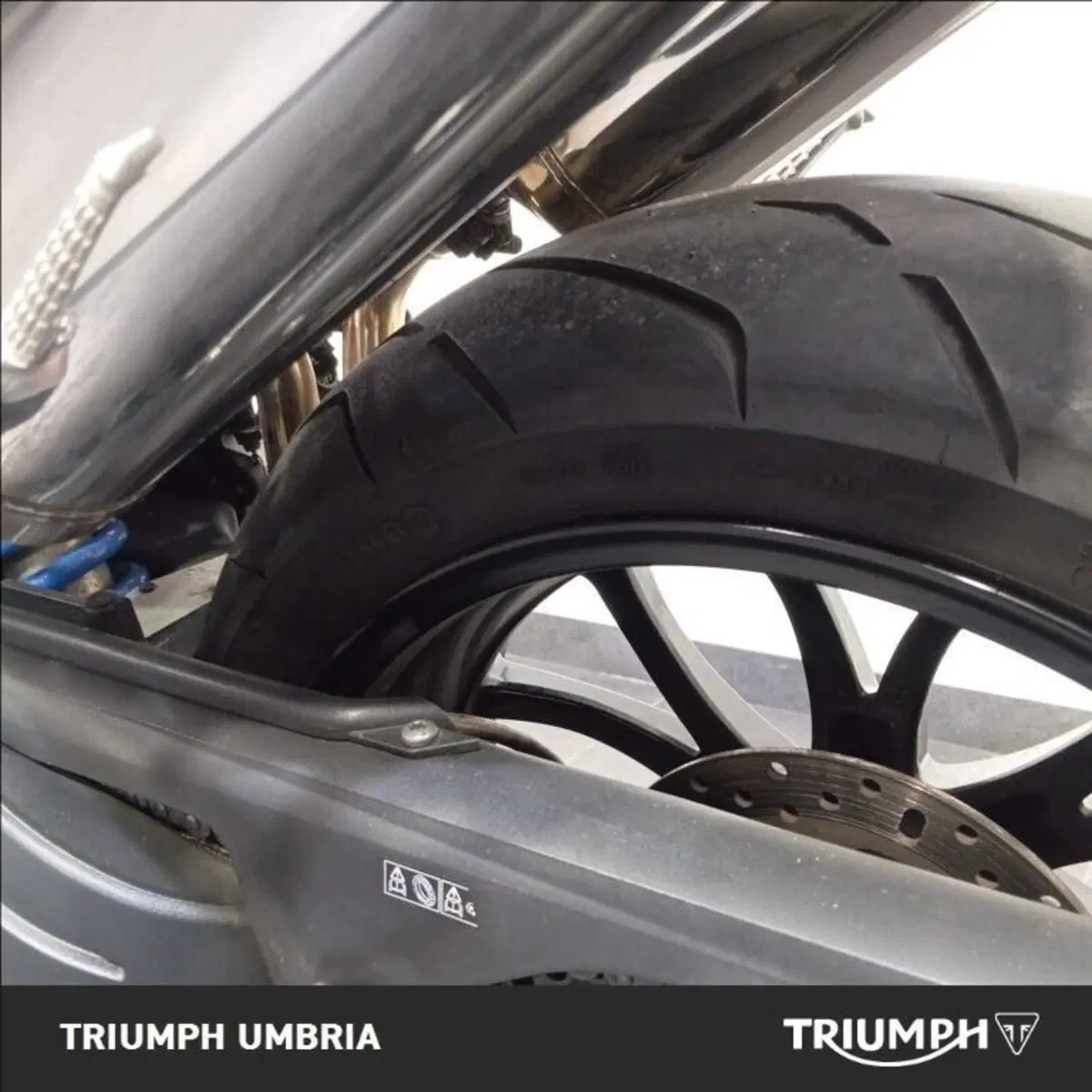 Triumph Speed Triple 1050 (2005 - 11) (3)