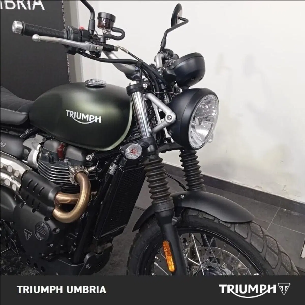 Triumph Scrambler 900 (2023 - 25) (9)