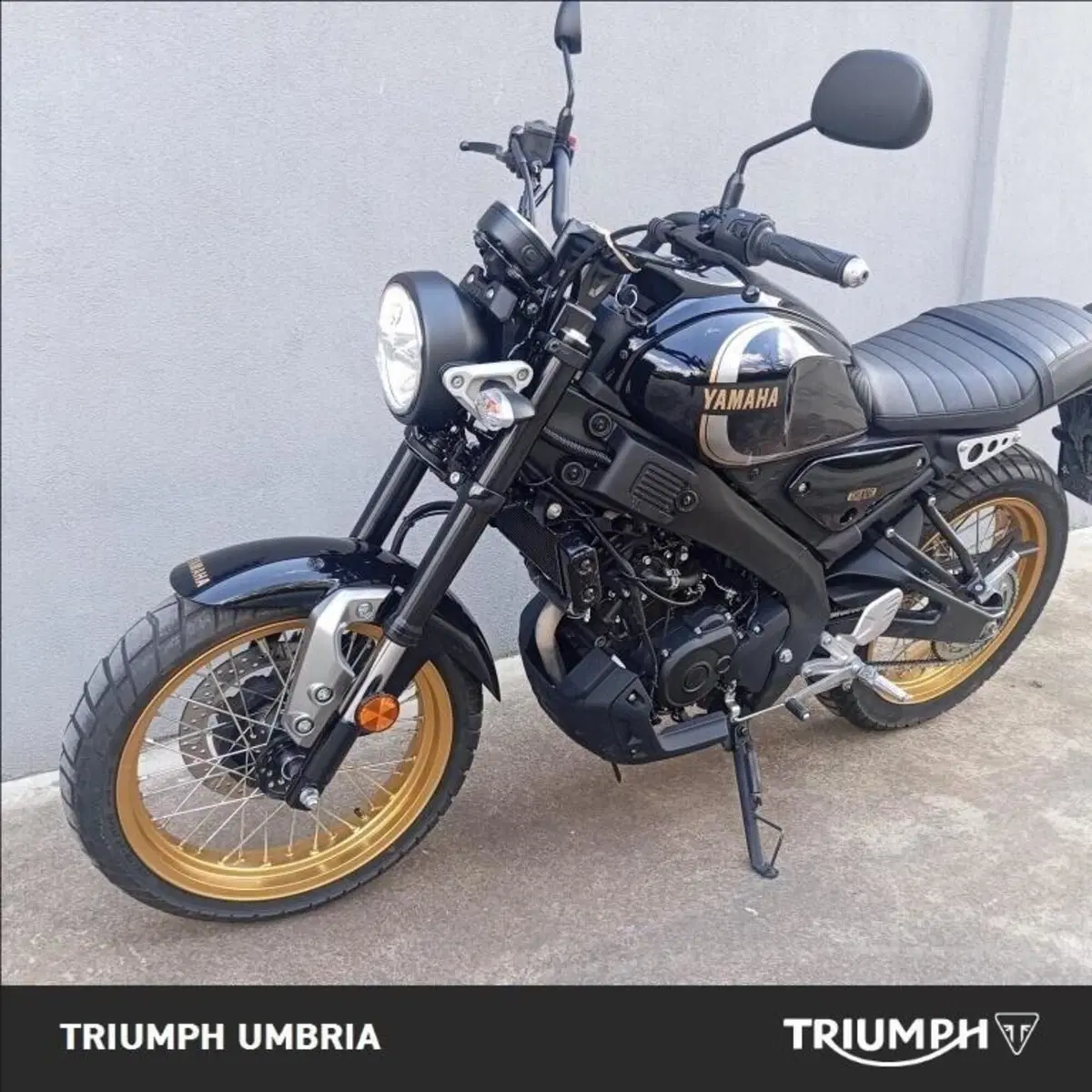 Yamaha XSR 125 (2025 - 26) (7)