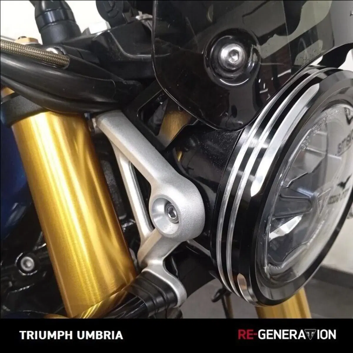 Triumph Scrambler 1200 XE (2019 - 20) (4)