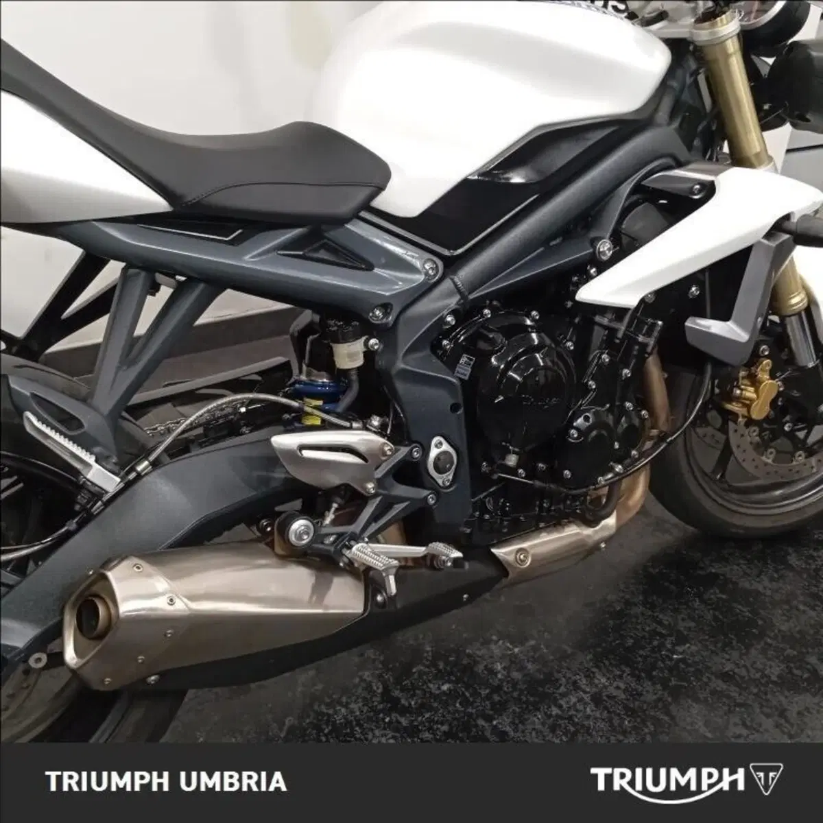 Triumph Street Triple ABS (2013 - 17) (12)