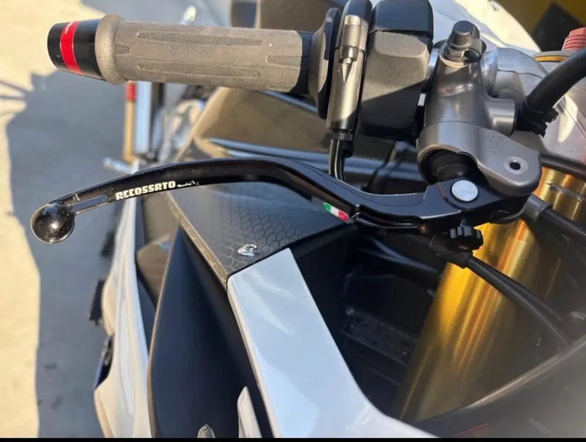 Bmw S 1000 RR (2012 - 14) (7)
