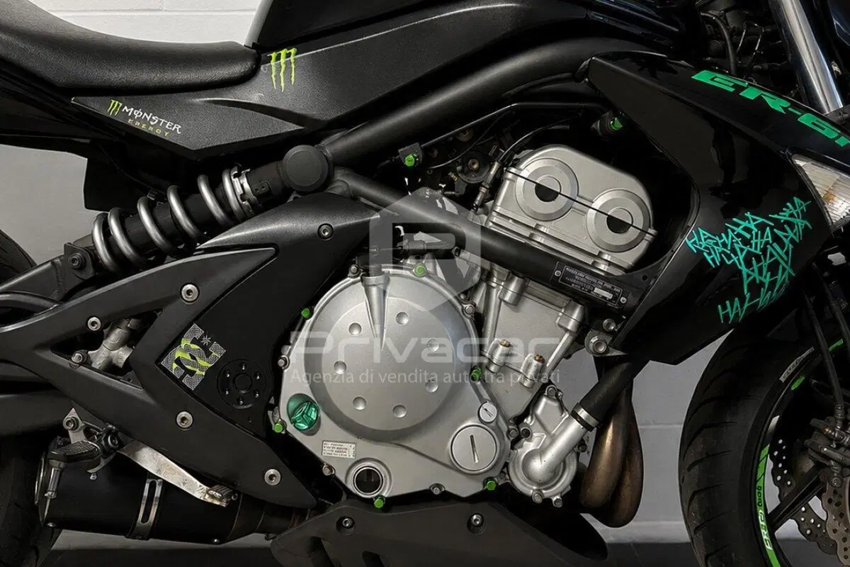 Kawasaki ER-6N (2006 - 09) (13)