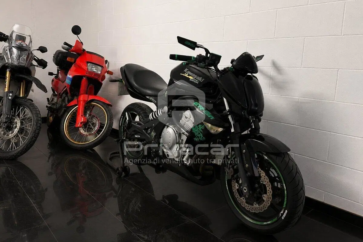 Kawasaki ER-6N (2006 - 09) (2)
