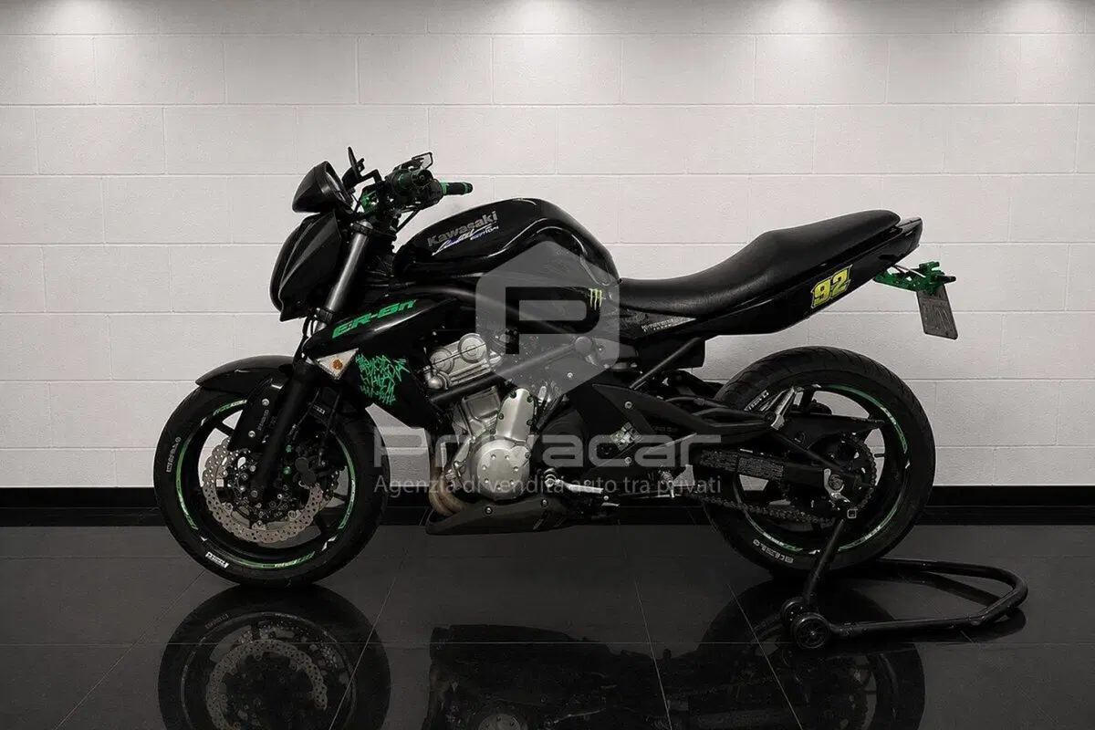 Kawasaki ER-6N (2006 - 09) (5)