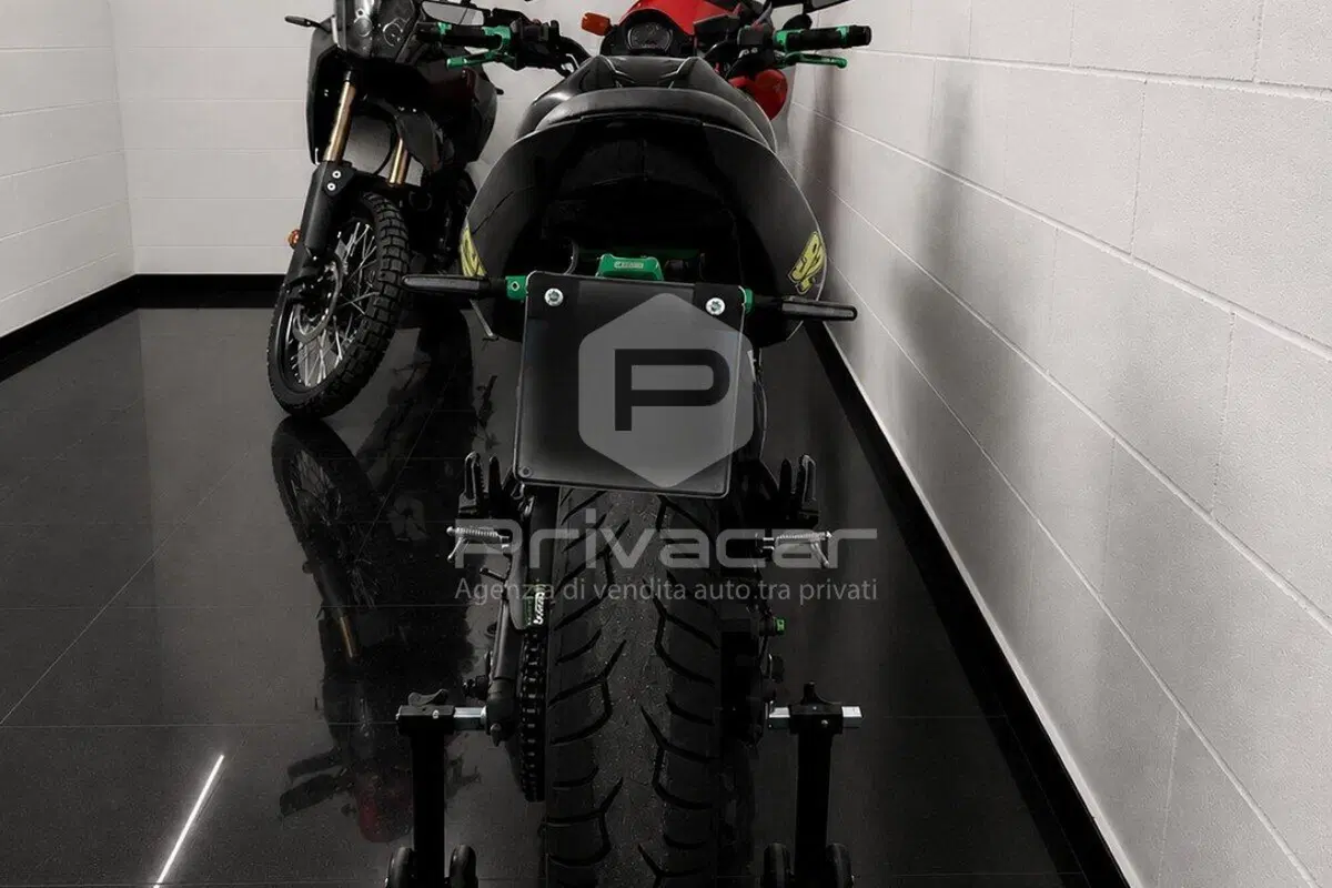 Kawasaki ER-6N (2006 - 09) (8)