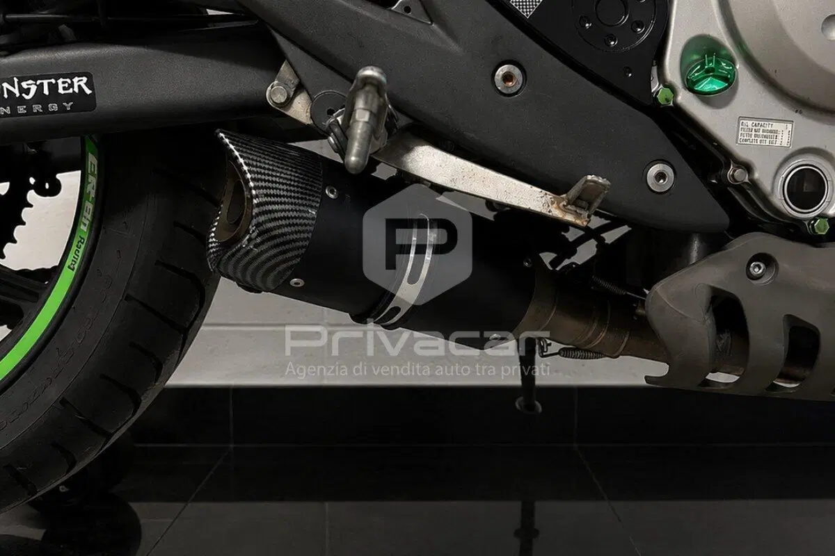 Kawasaki ER-6N (2006 - 09) (14)