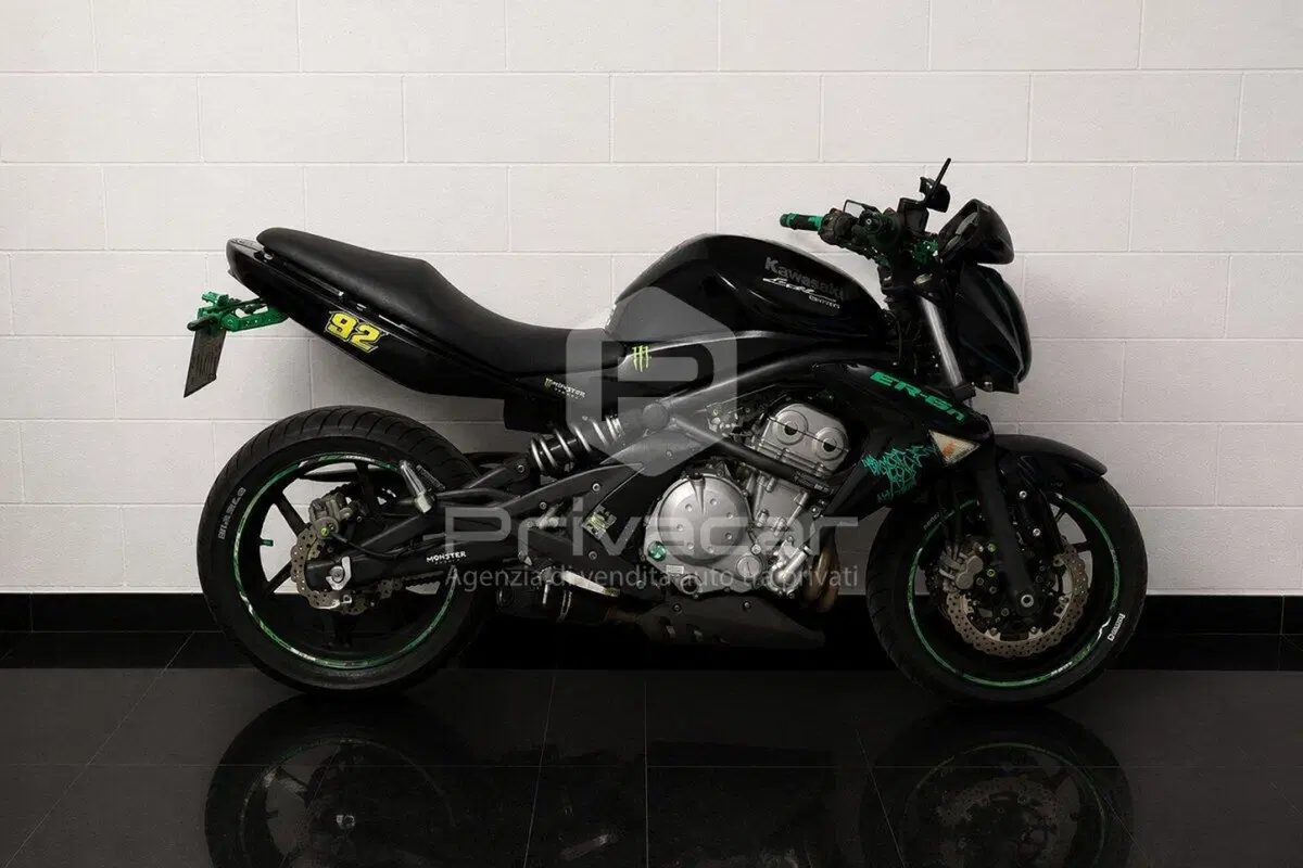 Kawasaki ER-6N (2006 - 09) (6)