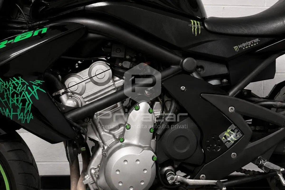 Kawasaki ER-6N (2006 - 09) (12)