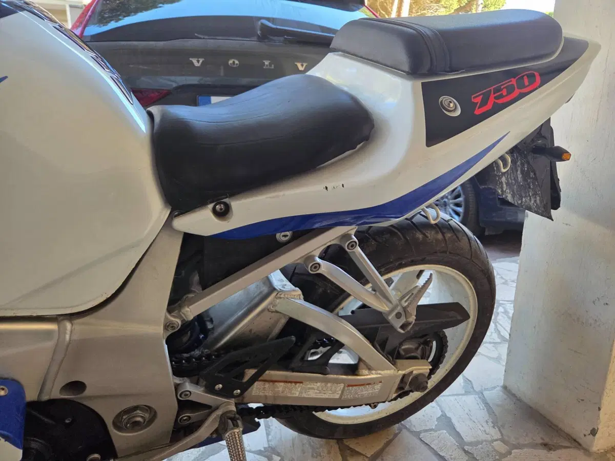 Suzuki GSX R 750 (1999 - 03) (19)