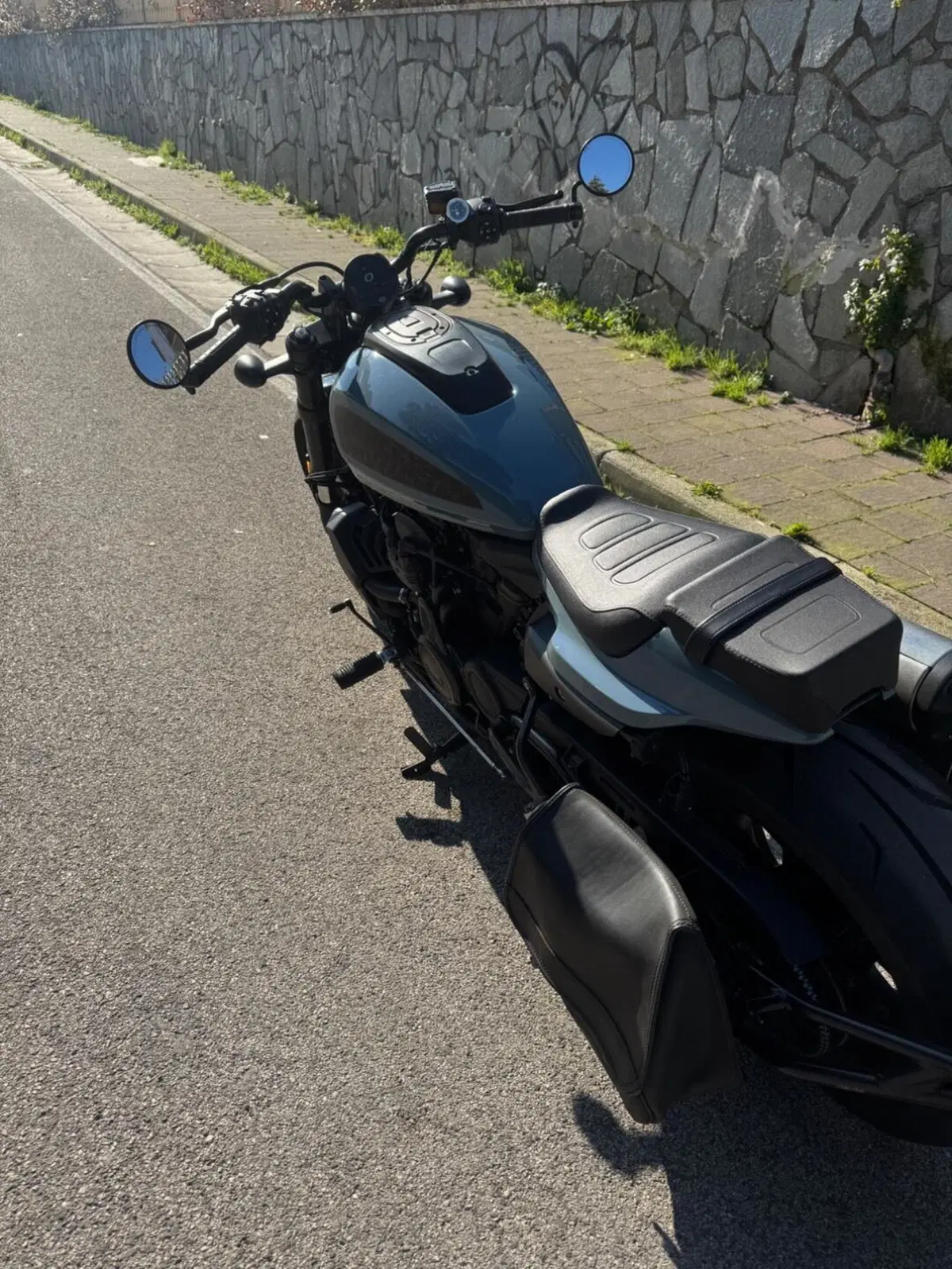 Harley-Davidson Sportster S (2022 - 24) (3)