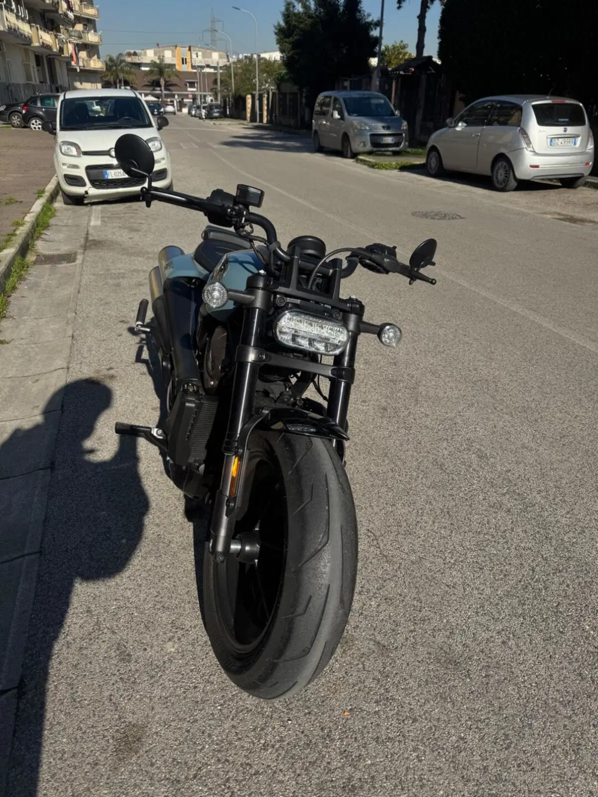 Harley-Davidson Sportster S (2022 - 24) (5)