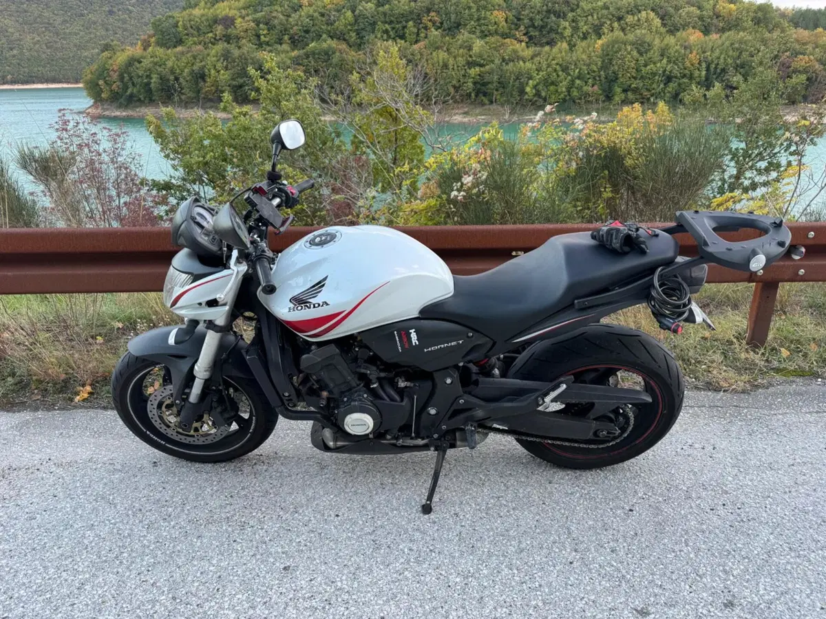 Honda Hornet 600 (2007 - 10) (2)