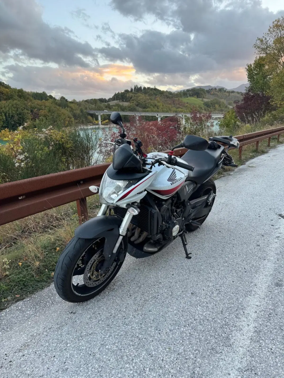 Honda Hornet 600 (2007 - 10) (3)