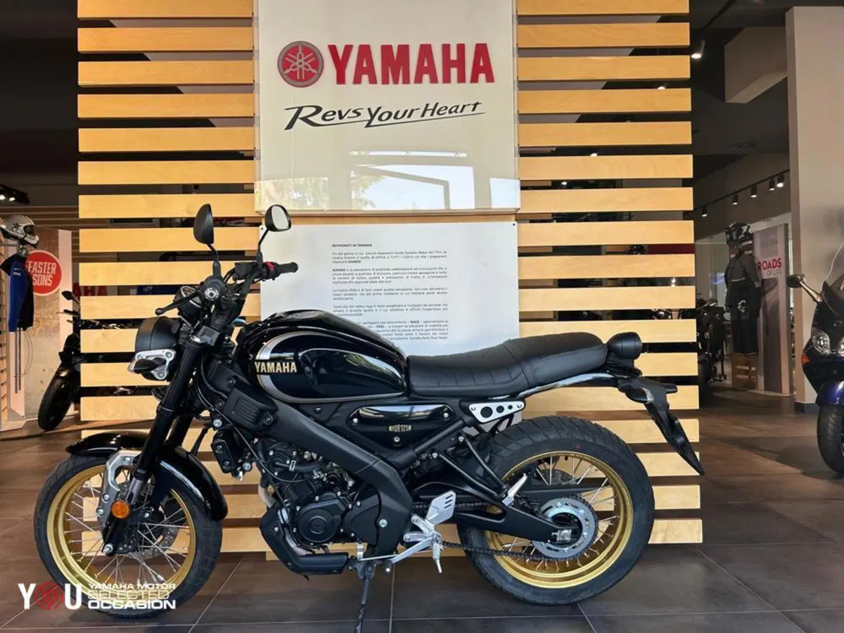 Yamaha XSR 125 (2021 - 24) (2)