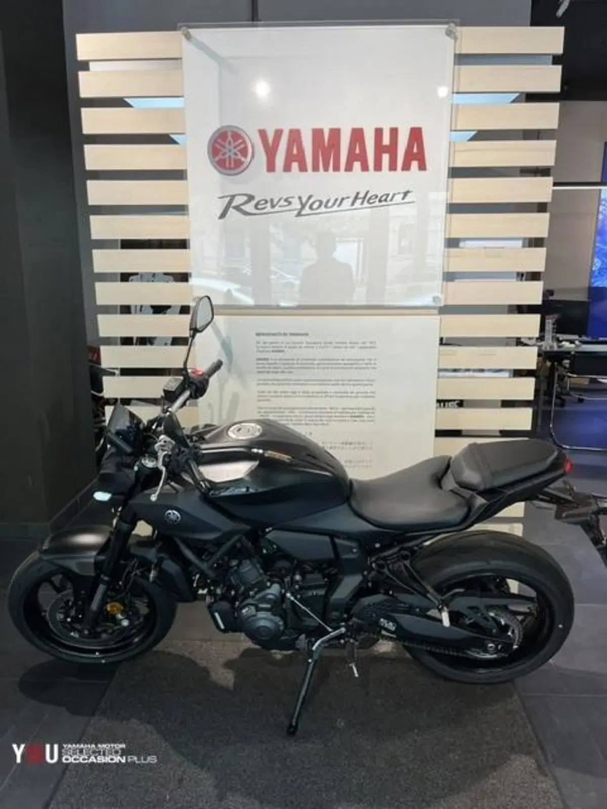 Yamaha MT-07 (2025 - 26) (9)