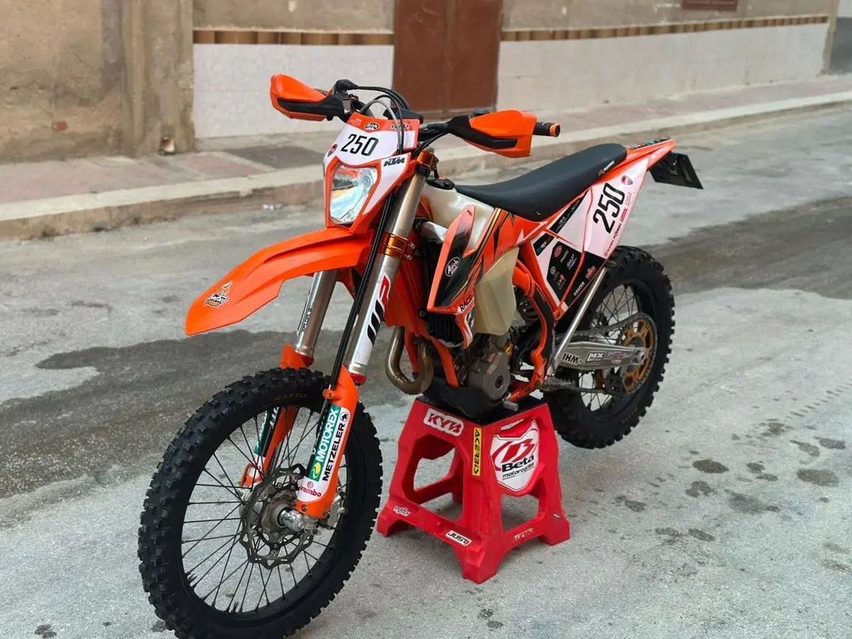 KTM 250 EXC-F Six Days (2021) (5)