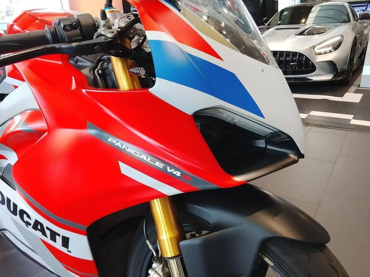 Ducati Panigale V4 S 1100 Corse (2019) (11)