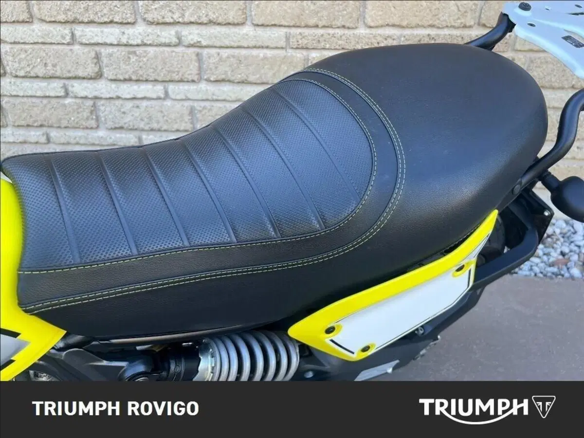Ducati Scrambler 800 Flat Track Pro (2016 - 17) (5)