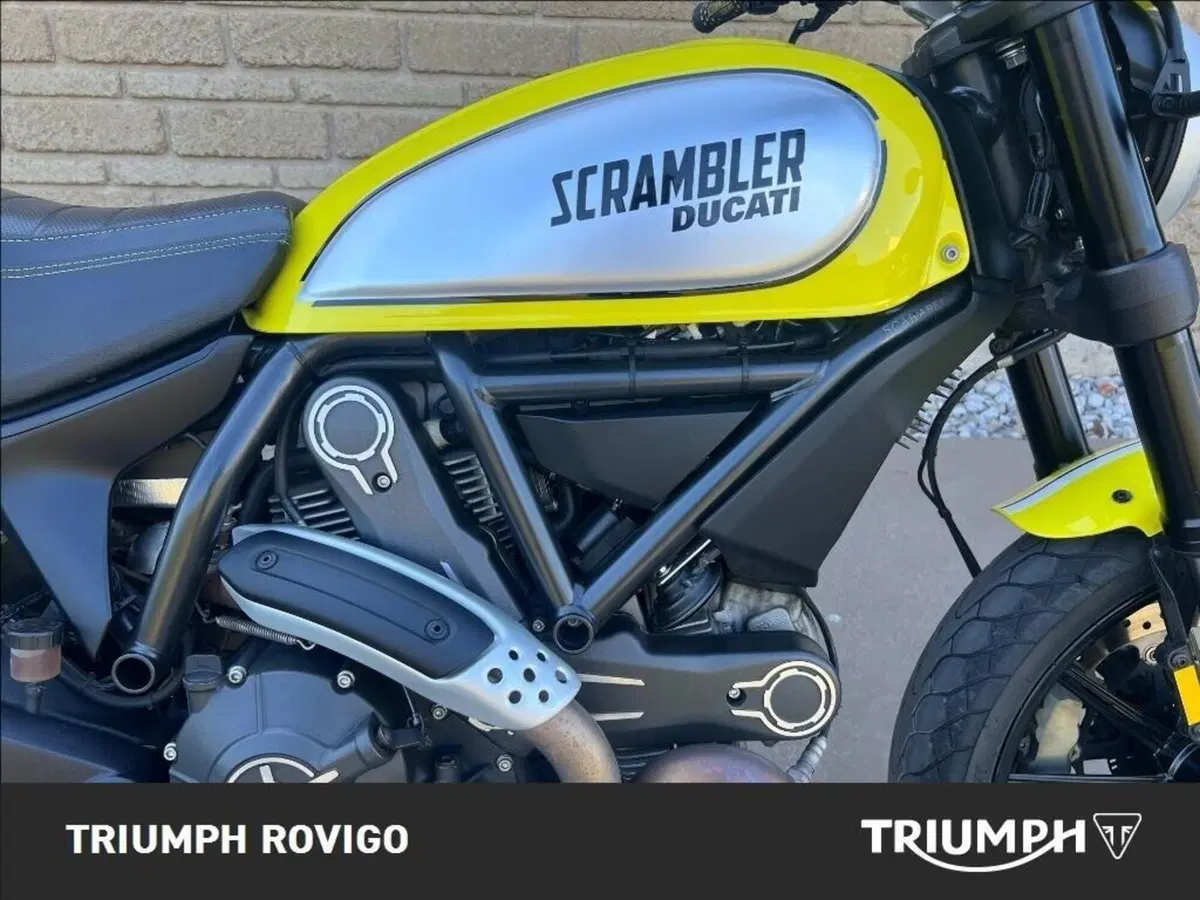 Ducati Scrambler 800 Flat Track Pro (2016 - 17) (3)