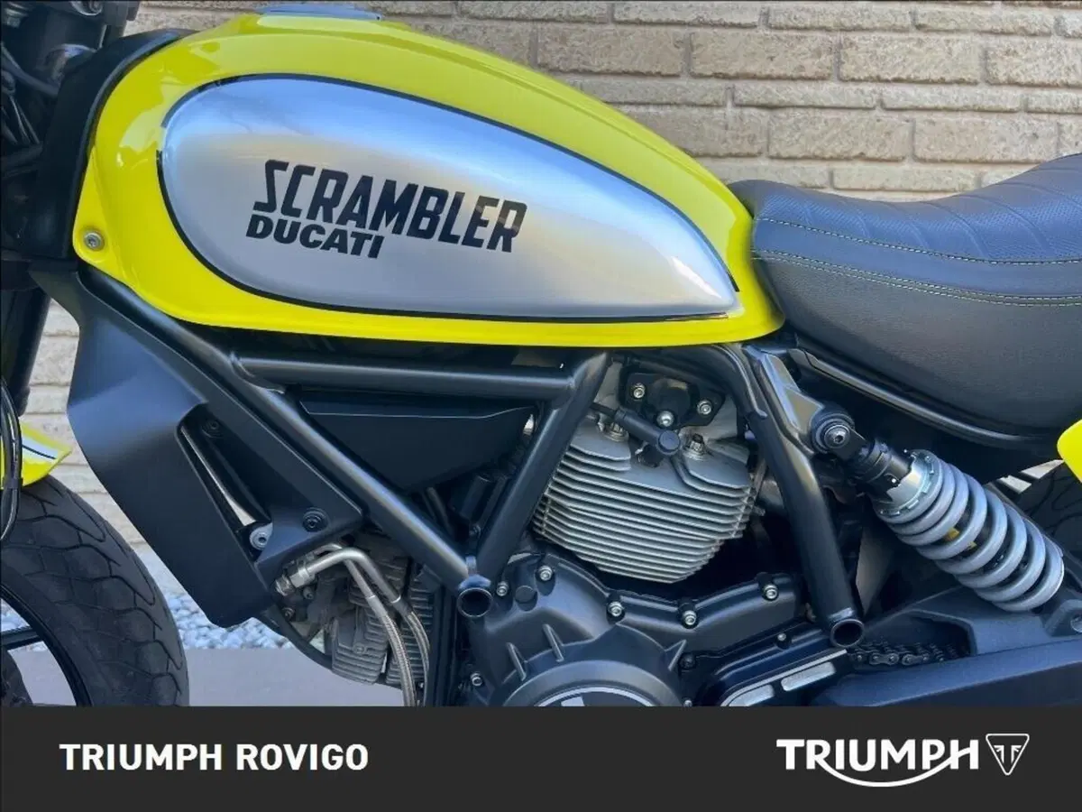 Ducati Scrambler 800 Flat Track Pro (2016 - 17) (8)