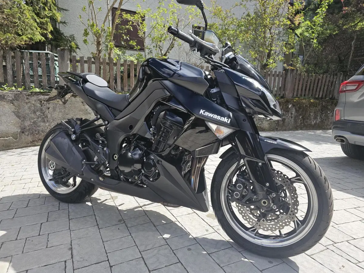 Kawasaki Z 1000 (2010 - 13) (7)