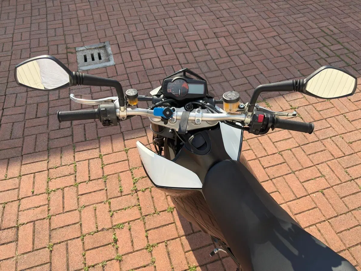 KTM 690 Duke (2007 - 09) (5)