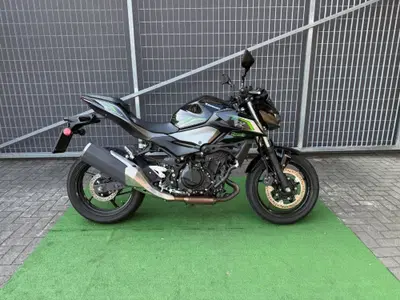 Kawasaki Z 500 (2024 - 26) usata