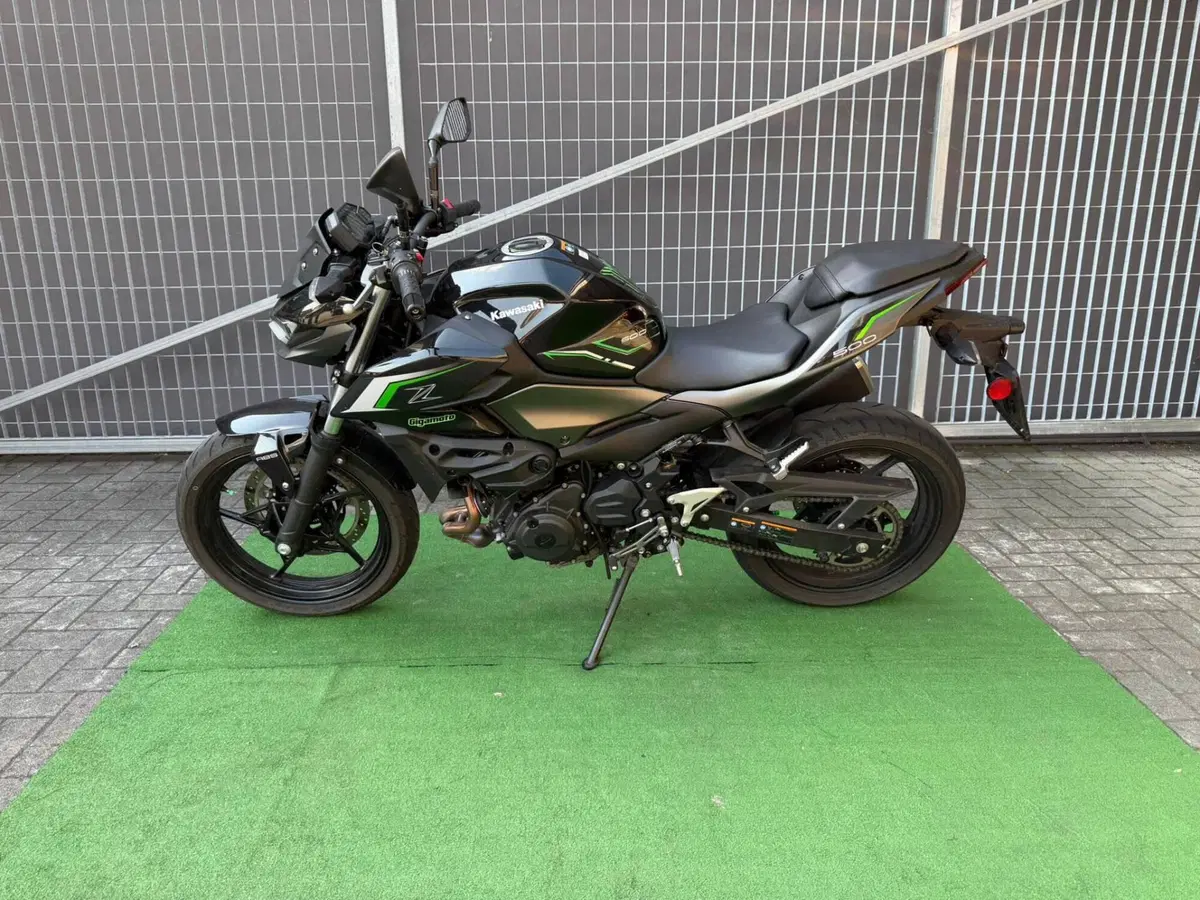 Kawasaki Z 500 (2024 - 26) (4)