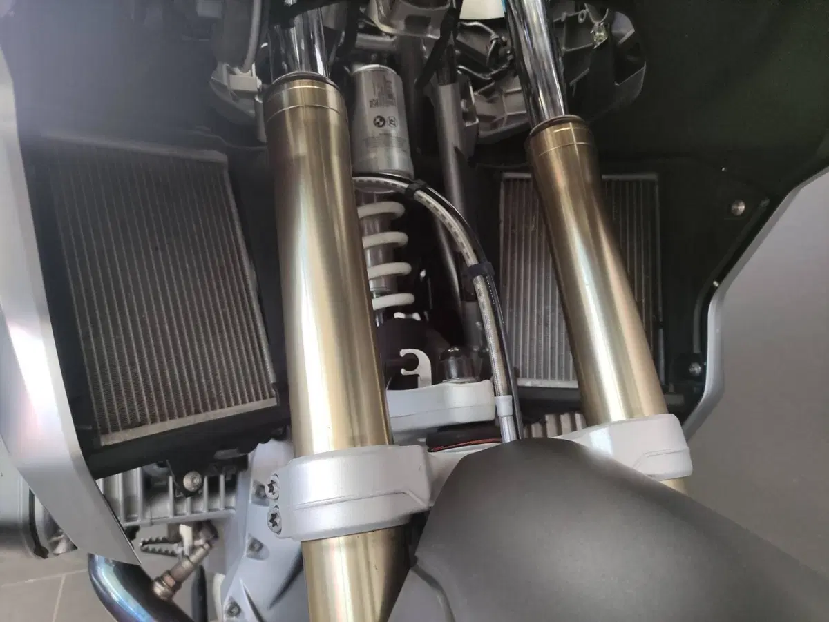 Bmw R 1250 GS (2019 - 20) (10)