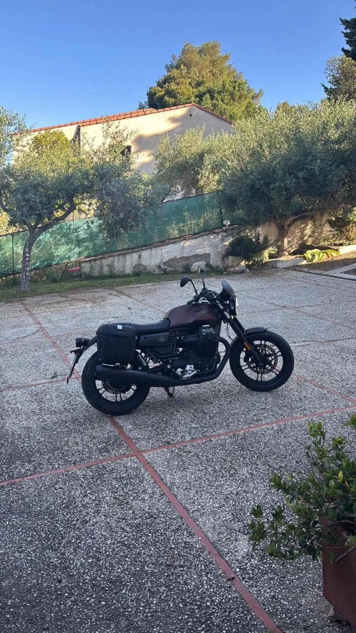 Moto Guzzi V7 III Stone Night Pack (2019 - 20) (3)