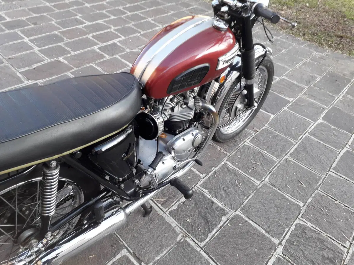 Triumph BONNEVILLE 650 T120R (3)