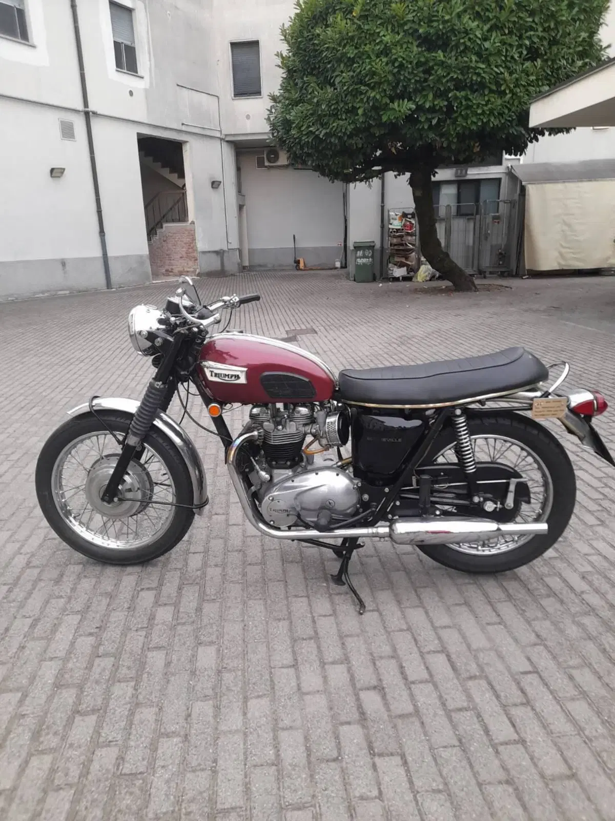 Triumph BONNEVILLE 650 T120R (4)