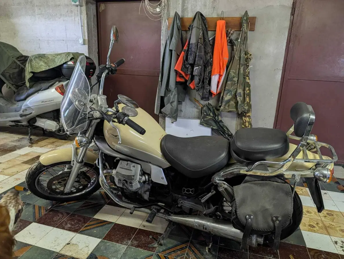 Moto Guzzi Nevada 750 Club (2002 - 06) (3)