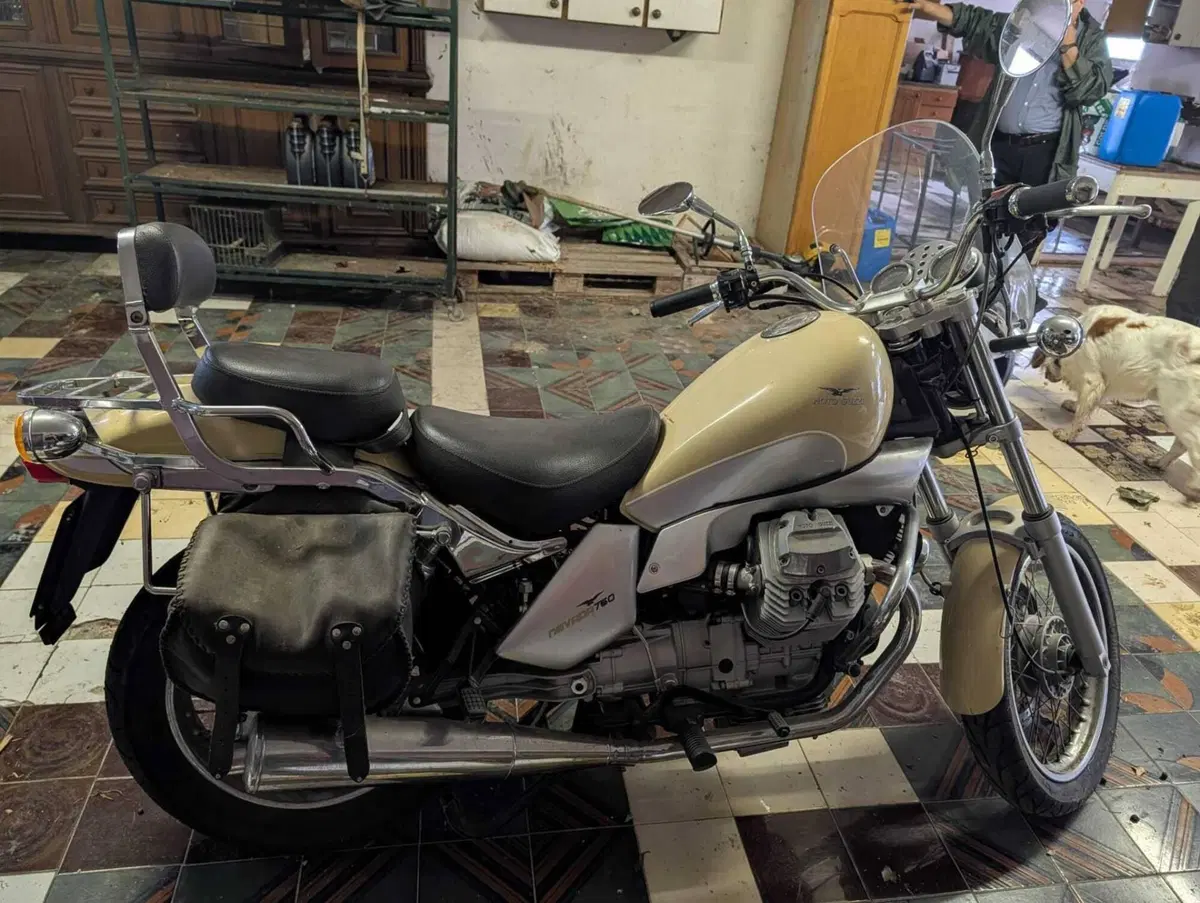 Moto Guzzi Nevada 750 Club (2002 - 06) (7)