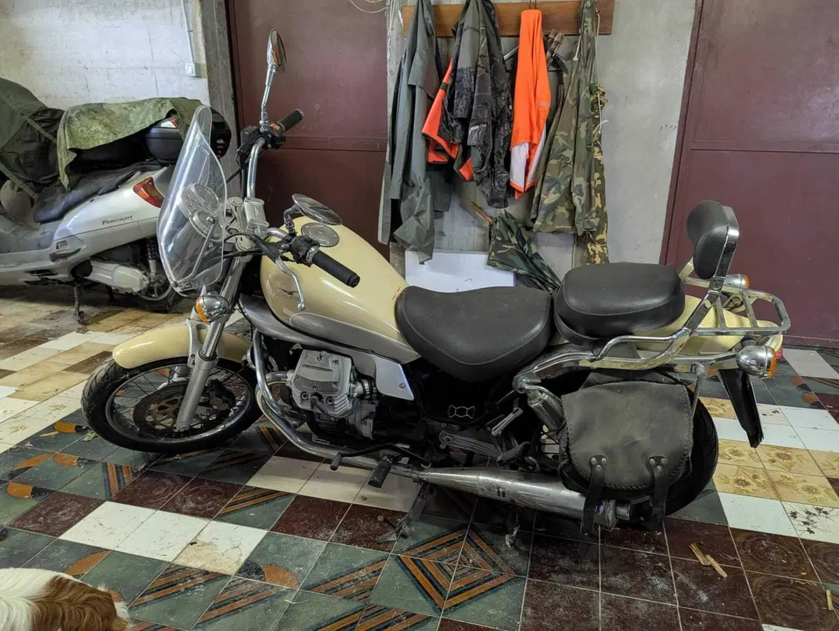 Moto Guzzi Nevada 750 Club (2002 - 06) (6)