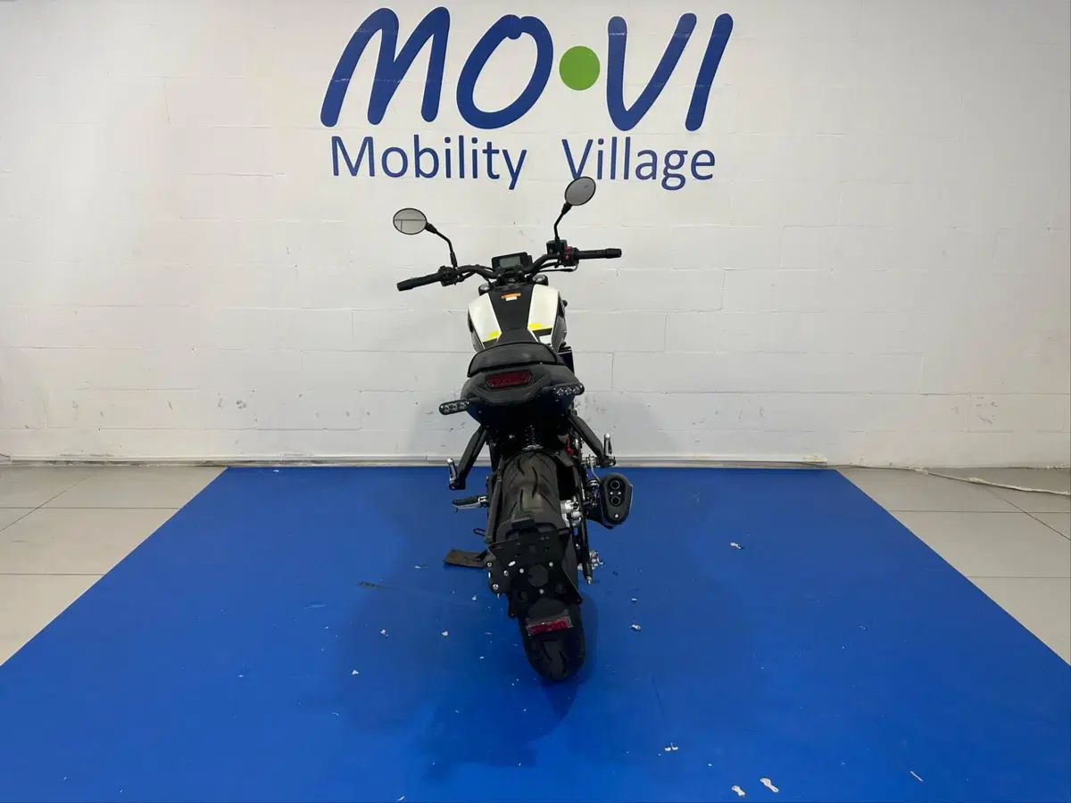 Benelli Leoncino 250 (2021 - 25) (3)