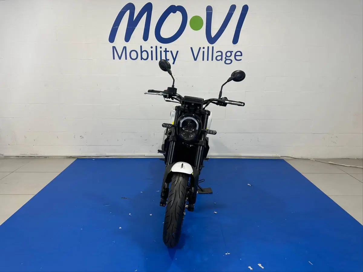 Benelli Leoncino 250 (2021 - 25) (7)