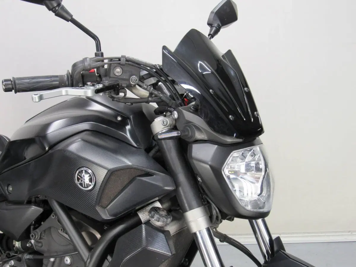 Yamaha MT-07 (2017 - 18) (10)