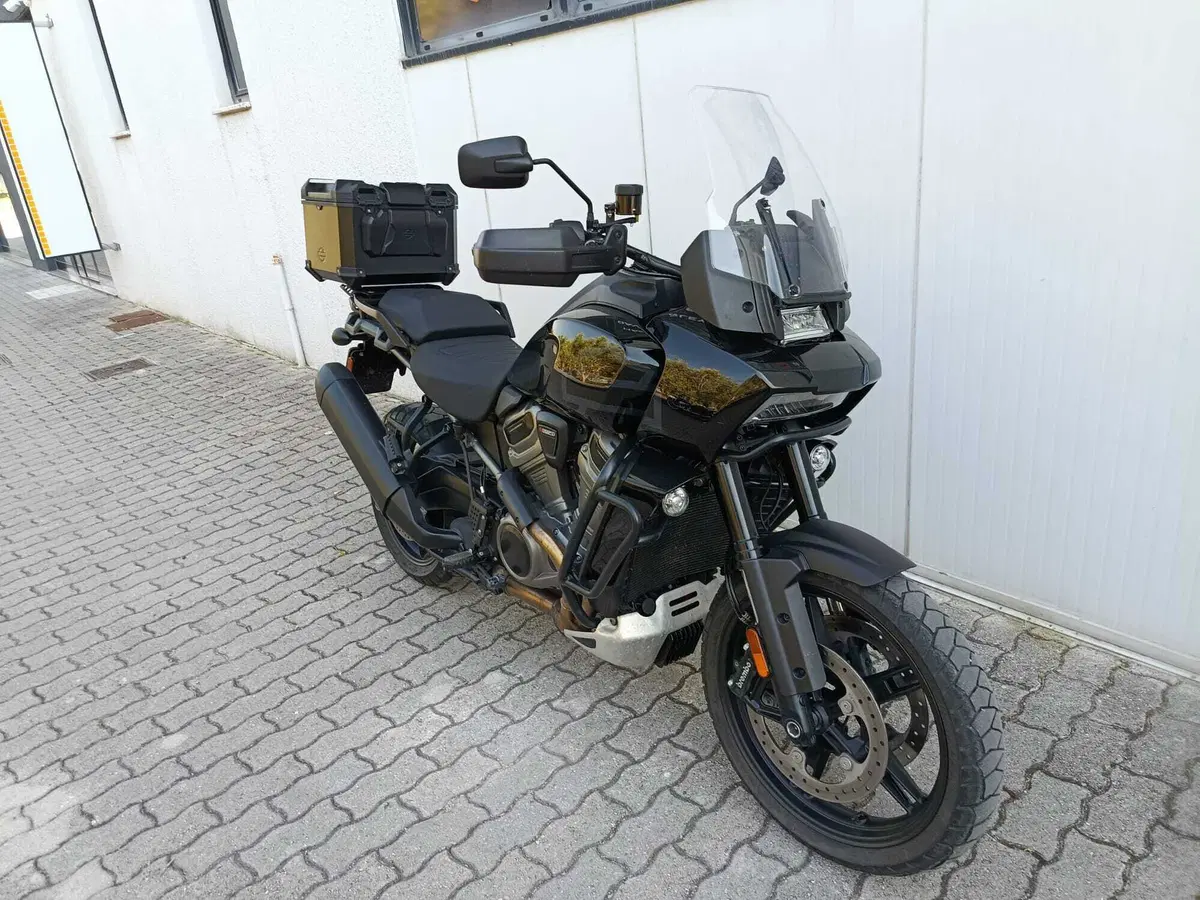 Harley-Davidson Pan America 1250 Special (2020 - 25) (3)